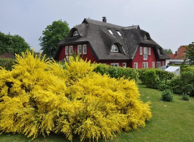 Karolas Landhus Unterm Reetdach Neu Reddevitz Exterior foto