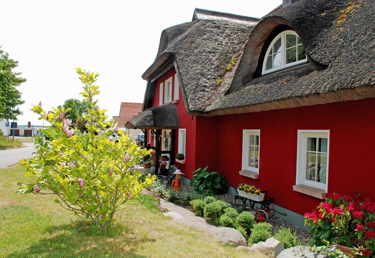 Karolas Landhus Unterm Reetdach Neu Reddevitz Exterior foto